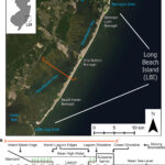 Frontiers | Undeveloped And Developed Phases In The Centennial In Island Beach State Park Map New Jersey