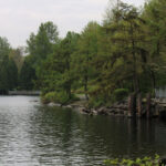 Gene Coulon Memorial Beach Park — Washington Trails Association Regarding Gene Coulon Memorial Beach Park Map