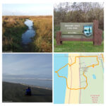 Grayland Beach State Park — Washington Trails Association For Grayland Beach State Park Map