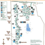 Grayland Beach   Washington State Parks Foundation With Regard To Grayland Beach State Park Map