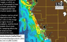 Health Alert Is Issued For Red Tide At Beaches In Sarasota County with Sarasota Beach Water Quality Today Map