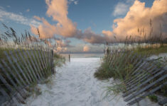 Henderson Beach State Park | Florida State Parks pertaining to Henderson Beach State Park Campsite Map