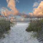 Henderson Beach State Park | Florida State Parks Within Henderson Beach State Park Campground Map