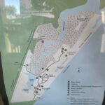 Huntington Beach State Park | Imagine Camper For Huntington Beach State Park Map