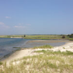 Island Beach State Park   Wikipedia Inside Island Beach State Park New Jersey Map