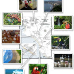 Jaco, Herradura, Hermosa – Free Printable Map Download In Map Of Costa Rica Jaco Beach