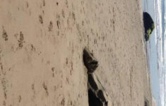 Jalama Beach County Parkags/Texas Advertising - Issuu intended for Jalama Beach Campground Map Pdf