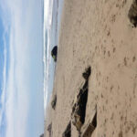 Jalama Beach County Parkags/Texas Advertising   Issuu With Jalama Beach Campground Map Pdf