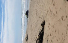 Jalama Beach County Parkags/Texas Advertising - Issuu with Jalama Beach Campground Map Pdf