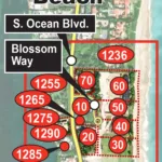 Ken Griffin'S Decade Long Quest To Build A Mega Mansion In Palm In Billionaires Row Palm Beach Map