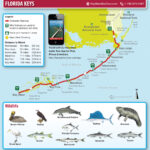 Key West And Florida Keys Maps   Miami Beach 411 Travel Store Pertaining To Florida Keys Map Of Beaches