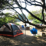 Lupine Camps In Manresa State Beach, California: Reviews And Pertaining To Manresa State Beach Campground Map