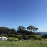 Manresa State Beach For Manresa State Beach Campground Map