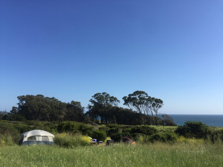 Manresa State Beach Campground Map