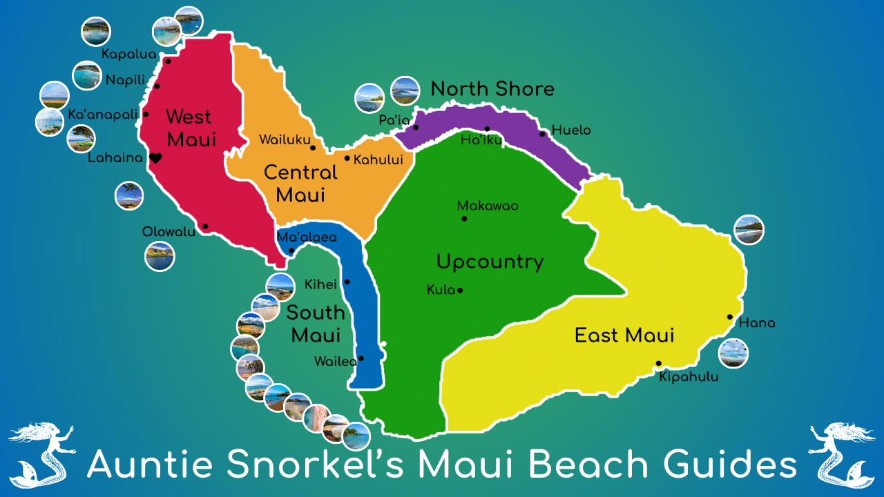 Maui Beach Guides - Auntie Snorkel for Black Sand Beach Maui Map