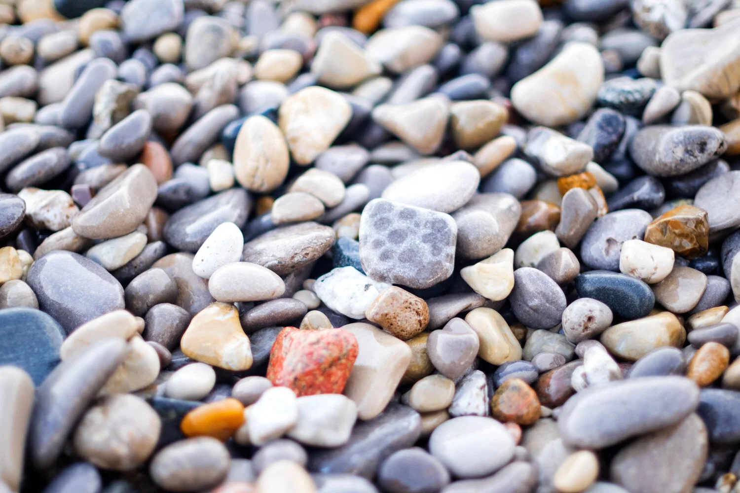 Michigan Rock Hunting Guide — Mi Roadtrip pertaining to Rock Hunting Beaches Near Me Map