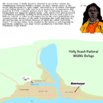 My Take On The Cajun Riviera Aka Holly Beach, Louisiana. : R Intended For Map Of Holly Beach Louisiana