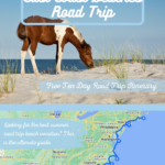 National Seashores: East Coast Beaches Road Trip   Visit Usa Parks Inside Map Of Beaches East Coast