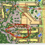 Prettiest Marriott Vacation Club We'Ve Stayed In!!! In Marriott Barony Beach Club Resort Map