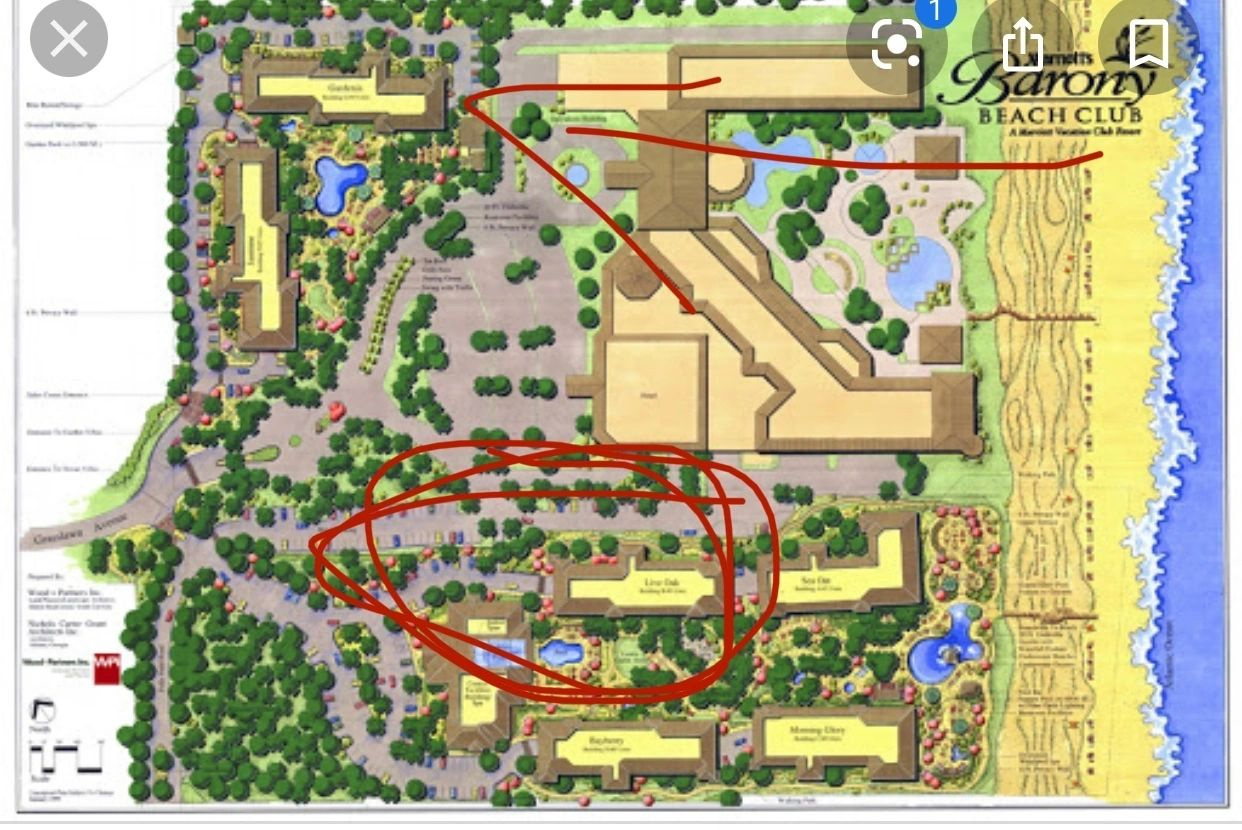 Prettiest Marriott Vacation Club We'Ve Stayed In!!! in Marriott Barony Beach Club Resort Map