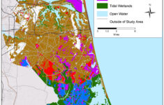 Sea Level Rise Planning Maps: Likelihood Of Shore Protection In in Virginia Beach Va Flood Zone Map