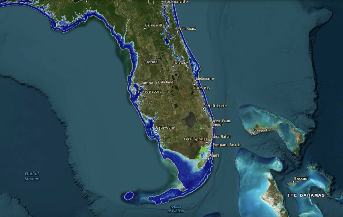This Interactive Map Shows Where Florida Could Be Underwater inside Interactive Map Of Florida Gulf Coast
