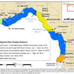 Updated Map To Accompany Fwc Scallop Season Release For Map Of Keaton Beach Fl