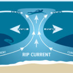 Visit South Walton | Beach Safety In South Walton With Regard To Miramar Beach Flag Conditions Today Map