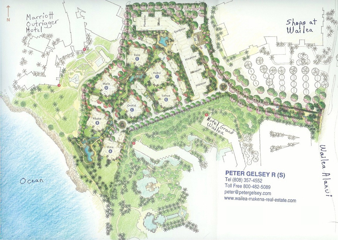 Wailea Real Estate - Peter Gelsey within Wailea Beach Villas Resort Map