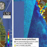 Water Quality Report | Wgcu Pbs & Npr For Southwest Florida For Naples Beach Water Quality Today Map