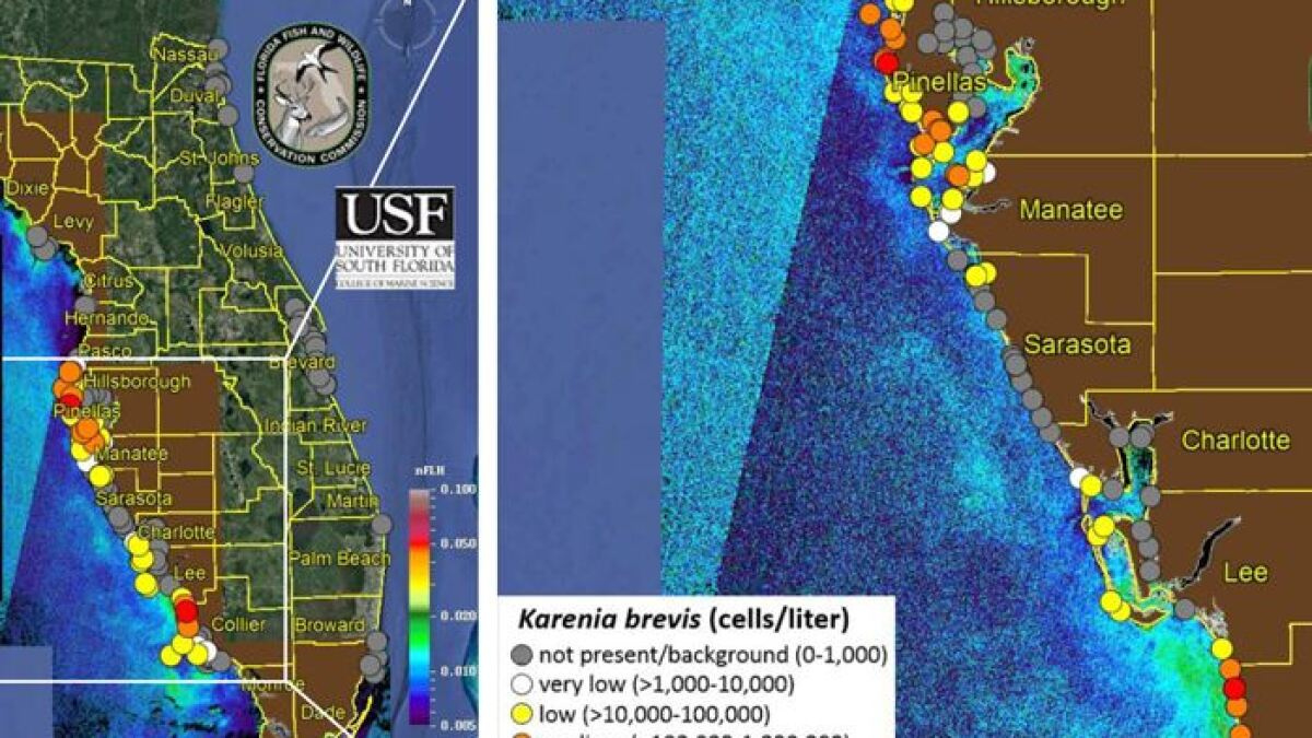 Water Quality Report | Wgcu Pbs &amp;amp; Npr For Southwest Florida for Naples Beach Water Quality Today Map