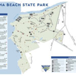 Your Complete Guide To Camping At Carolina Beach State Park In Carolina Beach State Park Campground Map